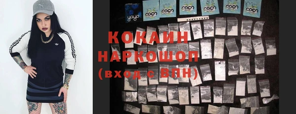 спиды Бородино