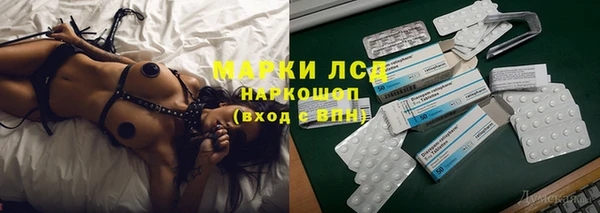 спиды Бородино