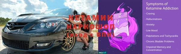 спиды Бородино