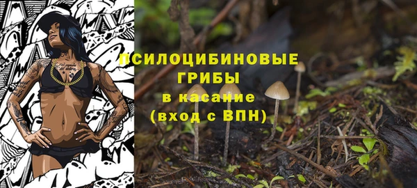 спиды Бородино
