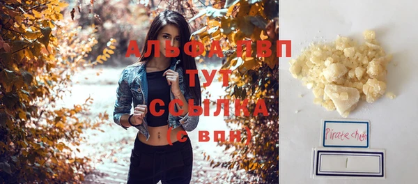 СК Бронницы