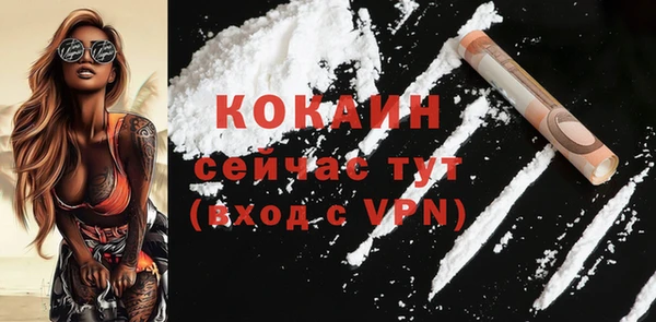 СК Бронницы