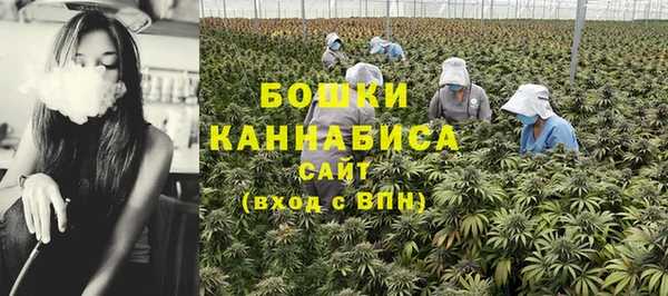 СК Бронницы