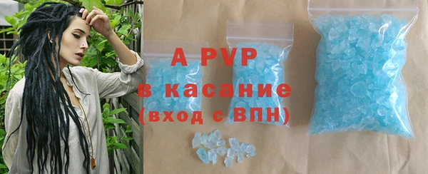 спиды Бородино