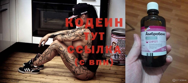 спиды Бородино